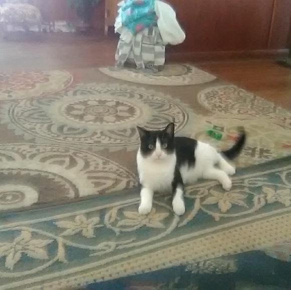 Profile Picture of Valerie Bartnick (@vaba815) on Poshmark