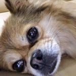 Profile Picture of Jacky Tang (@jacky_tang123) on Instagram