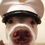 Noel M Brewer - Instagram Profile Picture of Noel M Brewer (@brewer_n) on Instagram