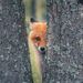 Profile Picture of Paul Hoffman (@hoffmann405002) on Pinterest