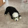 Profile Picture of Andrew Holste21 (@andrewholste21) on Tiktok