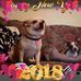 Profile Picture of James Schlegel (Jim) (@james.schlegel.359) on Facebook