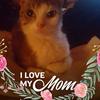Profile Picture of Julie Slevin (@@julieslevin) on Tiktok