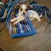 Profile Picture of Judy Watts (@judy.watts.7731) on Facebook