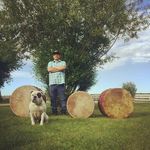 Profile Picture of Steve Wood (@stevewood945) on Instagram