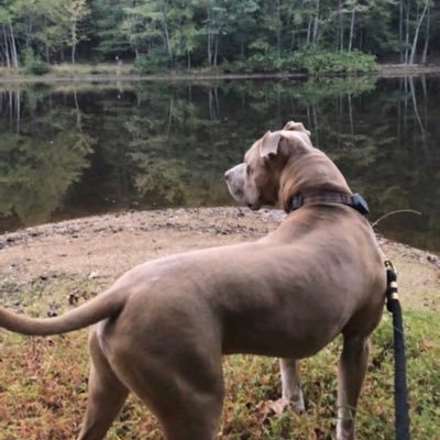 Profile Picture of KimKaye (@KimKaye90185125) on Twitter