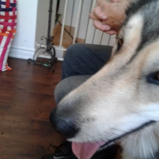 Profile Picture of Marc Rioux (@rioux_marc) on Instagram