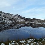 Profile Picture of Paula Wilkinson (@paula.wilkinson.90) on Instagram