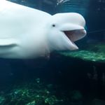 Profile Picture of Zachary Overton (@overton.z) on Instagram