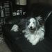 Profile Picture of Mary Sullivan (@grampapa59) on Pinterest