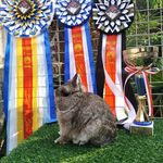 Profile Picture of John Rabbitry (@johnrabbitry) on Instagram