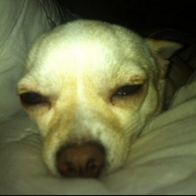 Profile Picture of Michael.Agler (@MikeAgler) on Twitter