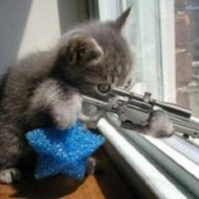 Profile Picture of Mike Collinson (@MikeCollinson3) on Twitter