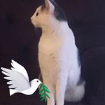 Joyce Spangler - Instagram Profile Picture of Joyce Spangler (@birth1943) on Instagram