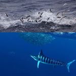 Profile Picture of Craig Walters (@craig.walters.10) on Instagram