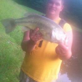 Profile Picture of John Towner (@JohnTowner2) on Twitter