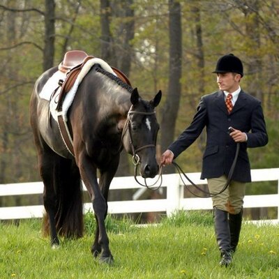 Adam D'Agostino - Twitter Profile Picture of Adam D'Agostino (@@adamdagostino) on Twitter