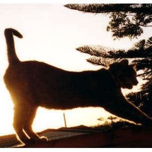 Profile Picture of Ava B (@201220084) on Myspace