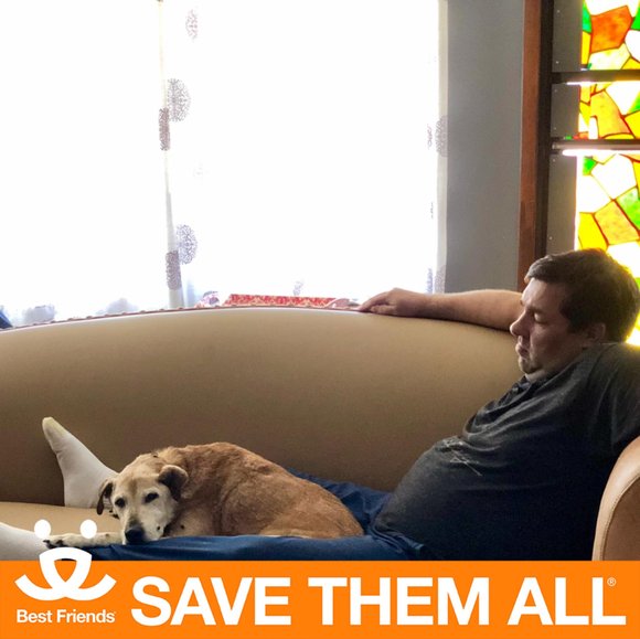 Profile Picture of Jason Paine (@jasonpaine) on Poshmark