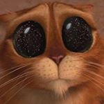 Profile Picture of Bradley Wong (@bradleywong_) on Instagram