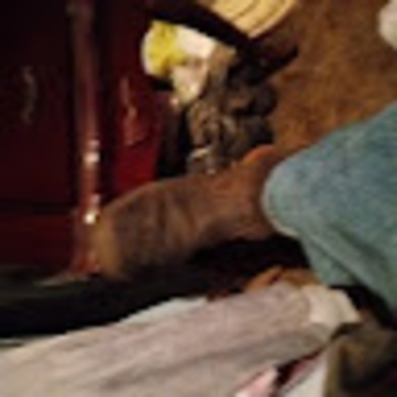 Profile Picture of John Shamblin (@shamblinj25) on Poshmark