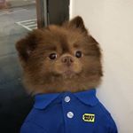 Profile Picture of Jason Yapp (@_jasonyapp) on Instagram