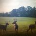 Profile Picture of David Kluender (@David-Kluender) on Facebook