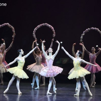 Profile Picture of Christine Shevchenko (@seeshevydance) on Twitter