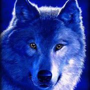 Profile Picture of Roberta Pierceyoung (@robertaraeyoung) on Pinterest