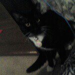 Profile Picture of Edward newhall-segura (@edward_king1) on Instagram