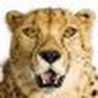 Profile Picture of Alfred Martinez (@alfred-martinez-3) on Quora