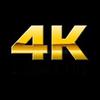 Profile Picture of kevinrobert575 (@@kevinrobert575) on Tiktok