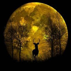 Profile Picture of jamesbadger833 (@james.badger37) on Tiktok