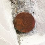 Profile Picture of LA MONETA PULITA💰 (@signor._moneta) on Instagram