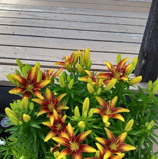 Profile Picture of Judy Judge (@judy.judge.3304) on Facebook