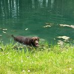 Profile Picture of Bert Nichols (@bert.nichols.71) on Facebook