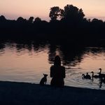 Robin Linders - Instagram Profile Picture of Robin Linders (@robinlinders_) on Instagram