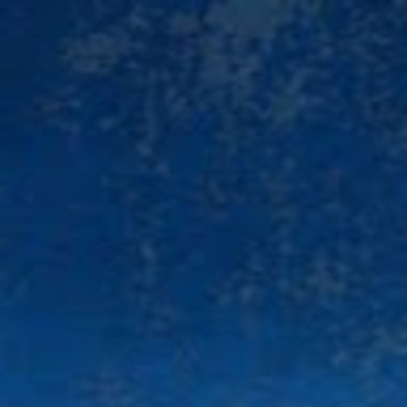 Profile Picture of Liv Conick (@livconick4) on Poshmark