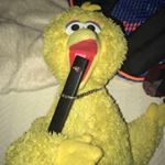 Profile Picture of Chris Derby (@derby_chris) on Instagram