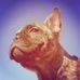 Profile Picture of Stanley Evans Meyerhoff (@stanley.evansmeyerhoff) on Facebook