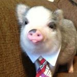 Profile Picture of Blake Lehman (@blakelehman41) on Instagram