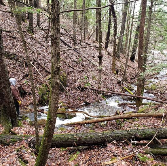 Profile Picture of Cathy Silvia adams (@lilhoodsie) on Poshmark