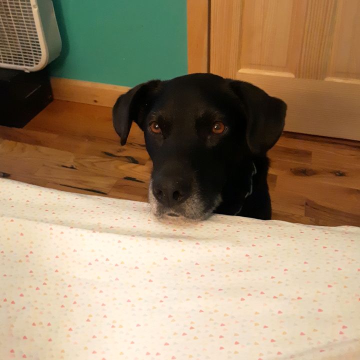 Profile Picture of user7442691283629 (@crystalbartlett0) on Tiktok