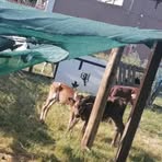 Profile Picture of Steven Khotle Khotle (@Steven-Khotle-Khotle) on Facebook