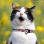 Profile Picture of paulfreeman1 (@paulfreeman1) on Instagram