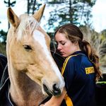 Profile Picture of Kate Potter (@kp_extras) on Instagram