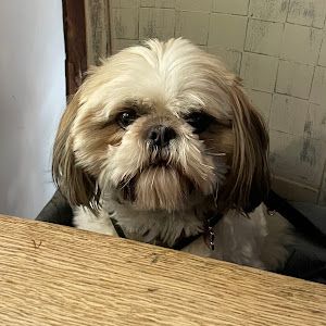 Profile Picture of Ken Lock (@ken.lock3) on Tiktok