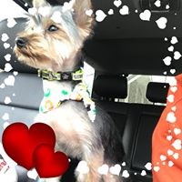 Profile Picture of Amy Mc Glin (@amy-mc-glin) on Quora