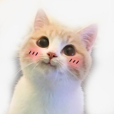 Profile Picture of Vicky Swift (@VickySwift14) on Twitter