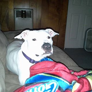 Profile Picture of Brian Rollin (@brain.rollin.3) on Facebook